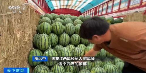 718.s 娱乐吃瓜,揭秘娱乐圈最新吃瓜大事件