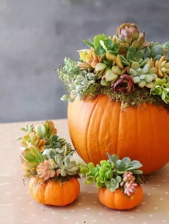 花花吃瓜娱乐求关注版,娱乐至上，聚焦热点，只为博你一笑